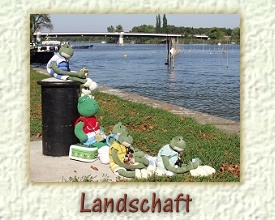 Ruhepause am Borneufer in Plaue