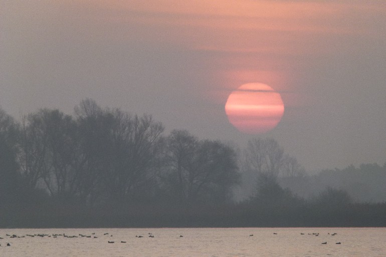 Langsam taucht die Sonne durch den Frühnebel über dem Plauersee auf.