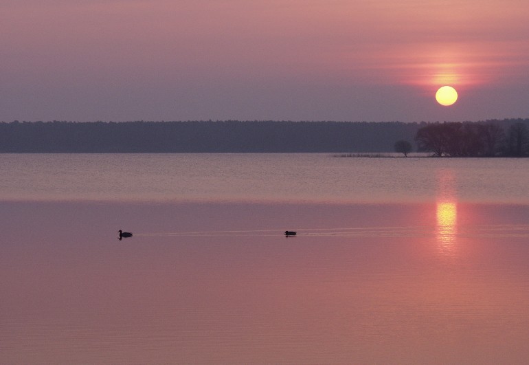 3 am frühen Morgen.Wer zeitig aufsteht hat mehr vom Tag am Mösersee.