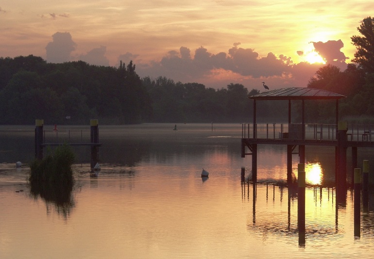 Beobachtungen vom Anleger am Neustädtischen Wassertor in Brandenburg/Havel