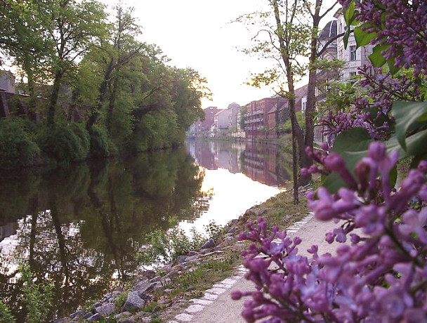 Der Jungfernsteig erstreckt sich entlang des Stadtkanal.Links hinter den Bäumen ist die  alte Stadtmauer erkennbar.