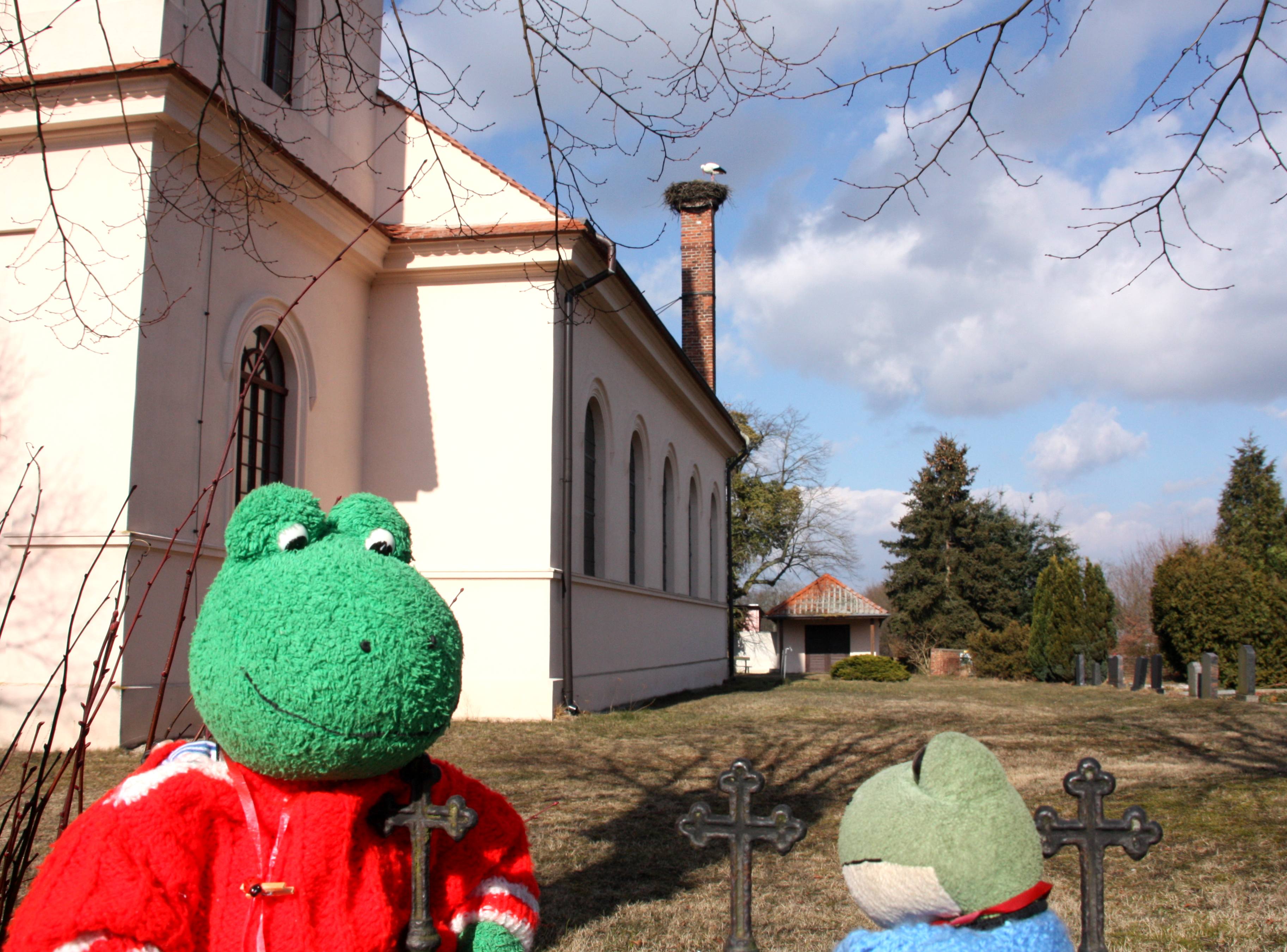 Große Freude bei Kurti und Mondi , der Storch ist Woltersdorf eingetroffen!