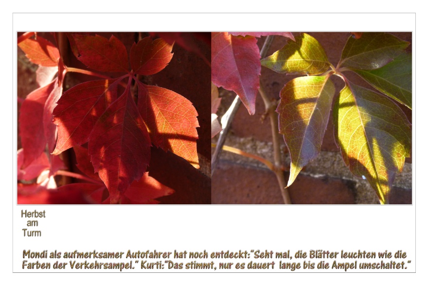 Mondi entdeckt Farben