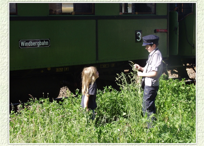 Blumen pflücken war während der Fahrt nicht möglich, wird aber hier während eines kurzen Aufenthaltes in Nossen nachgeholt.