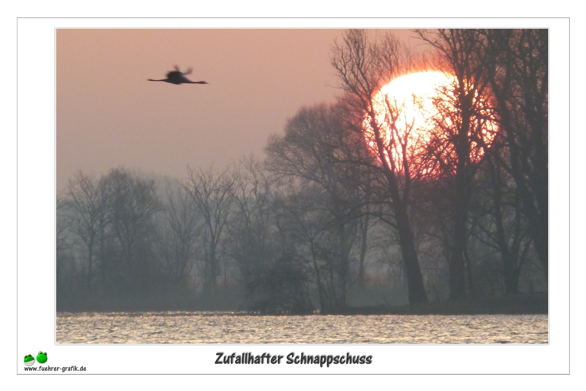 Schnappschuss