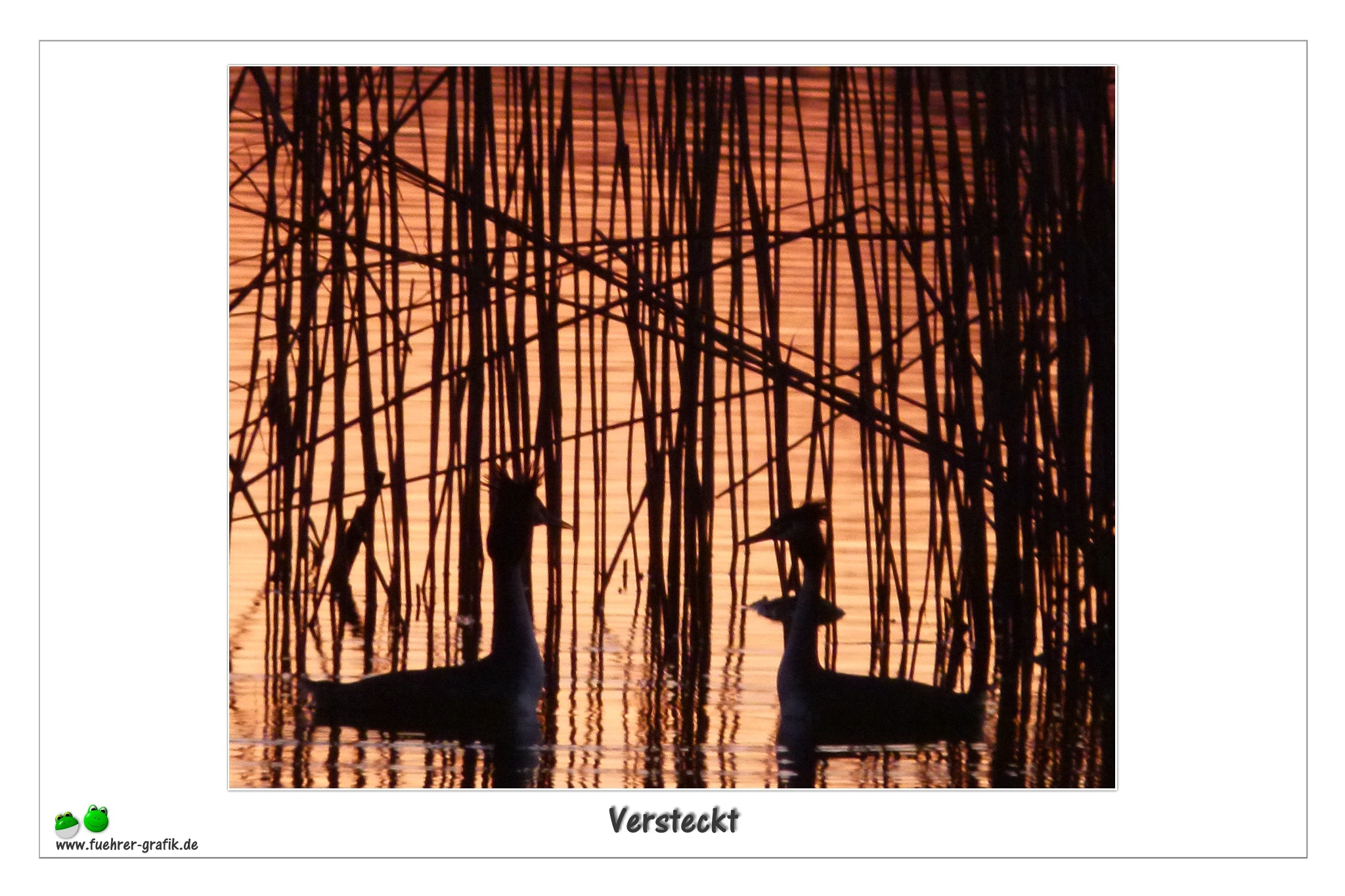 Versteckt