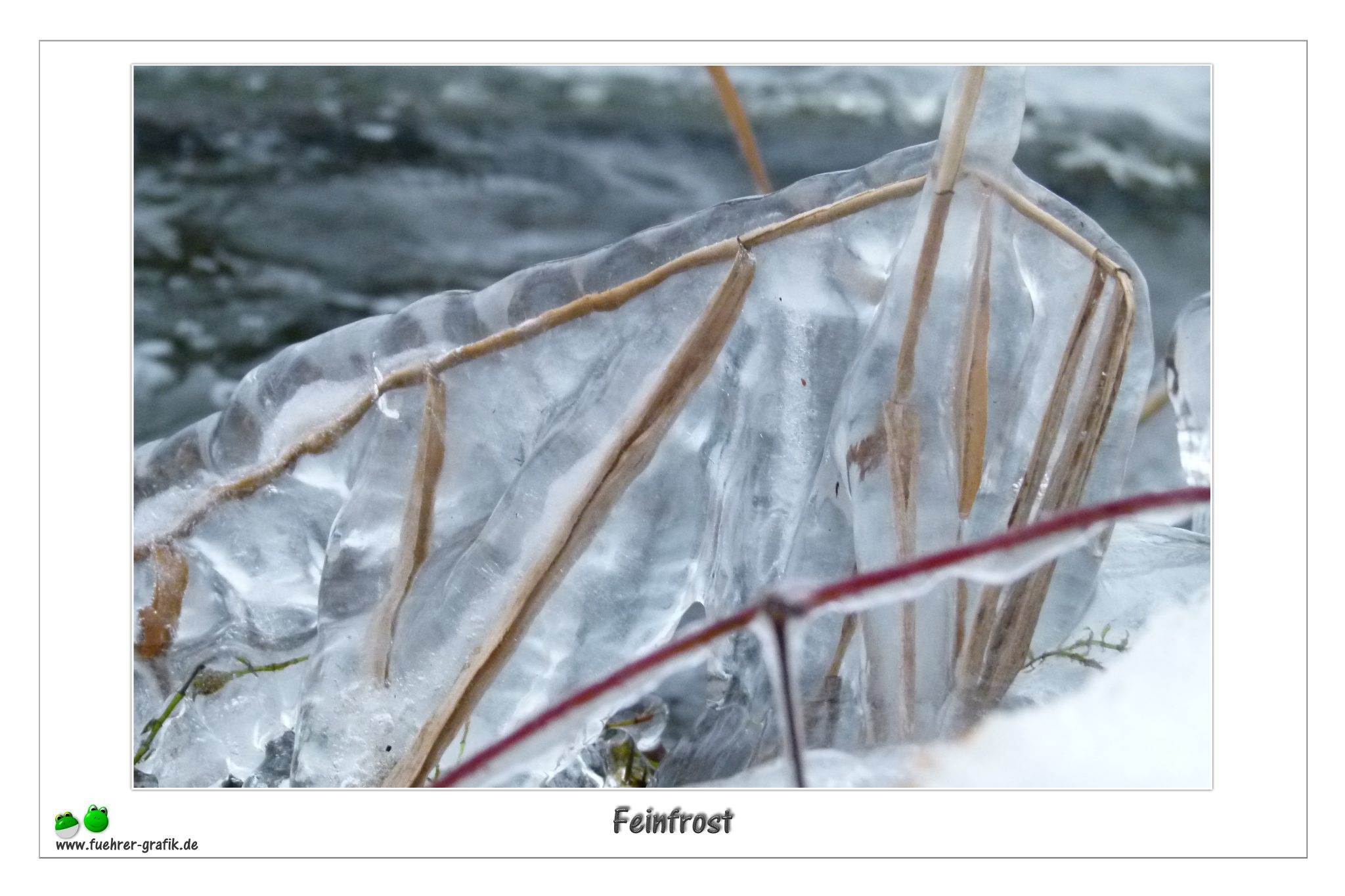 Feinfrost