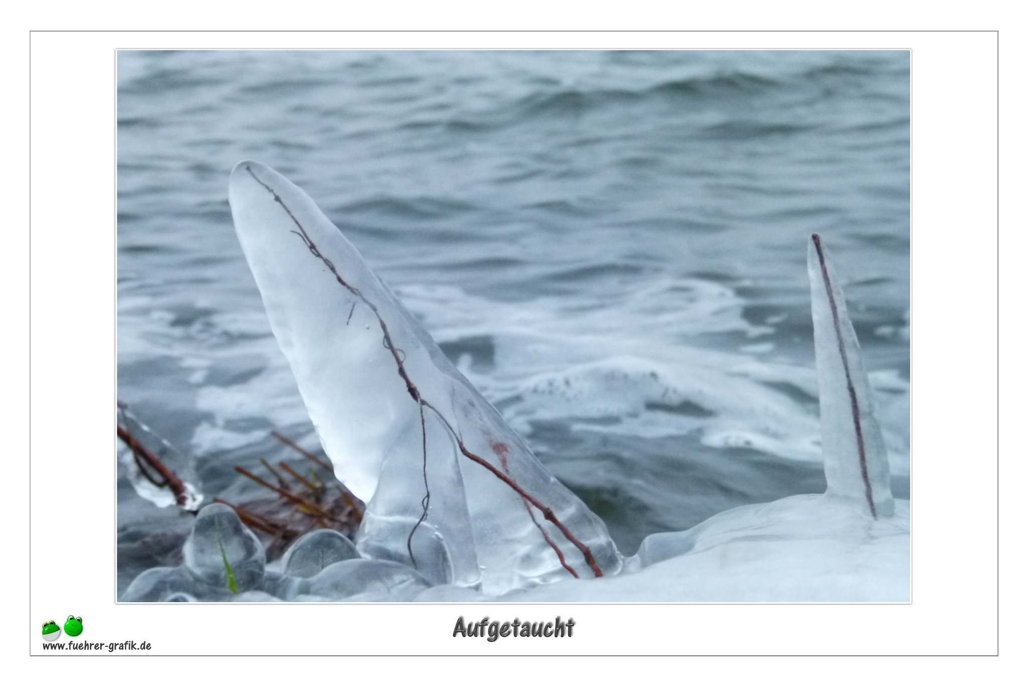 Aufgetaucht