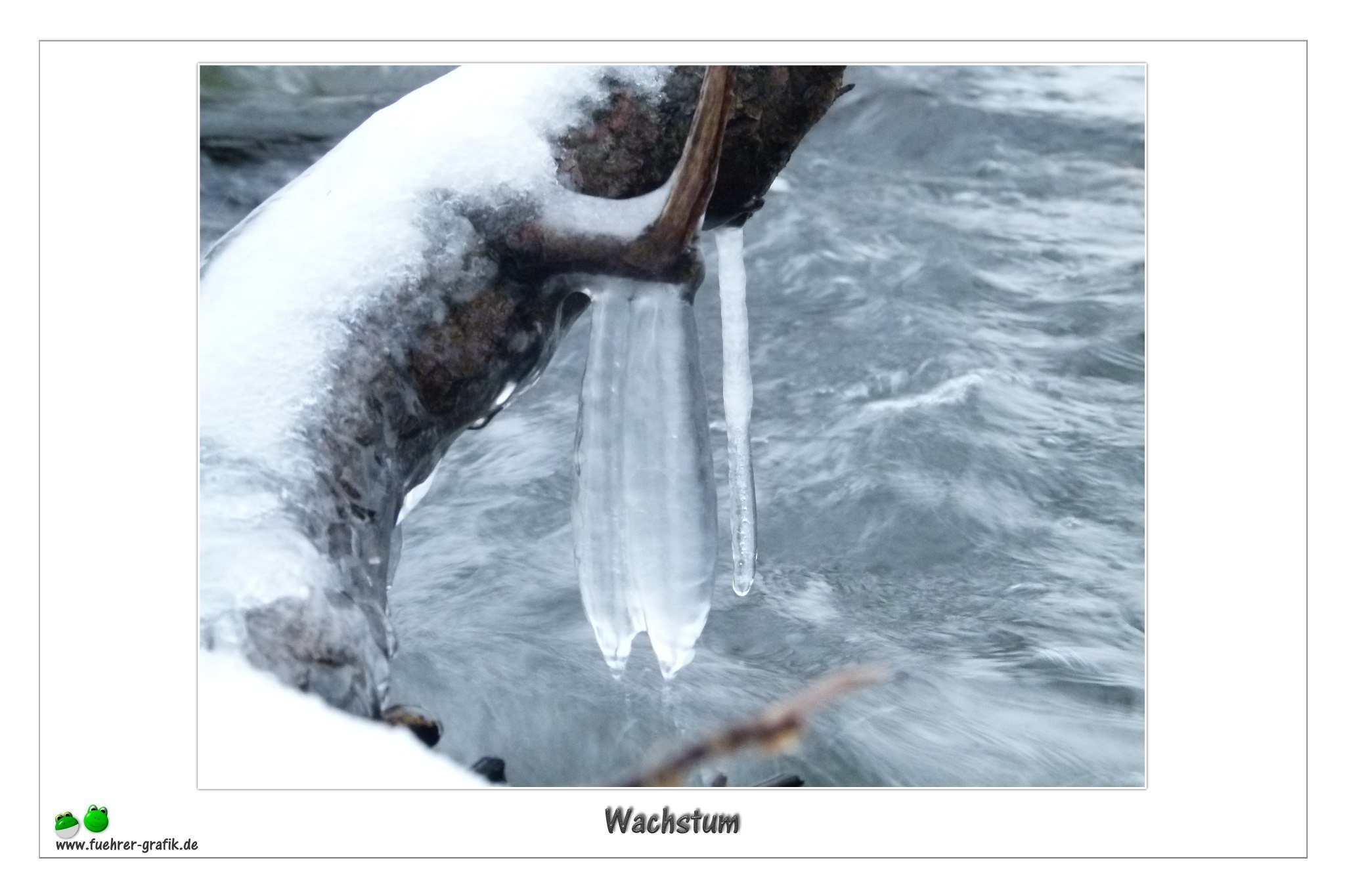 Wachstum