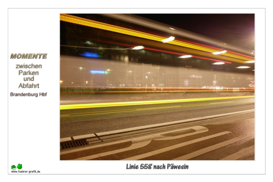 Linie 558 nach Päwesin