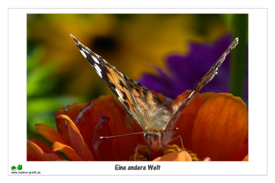 Eine andere Welt