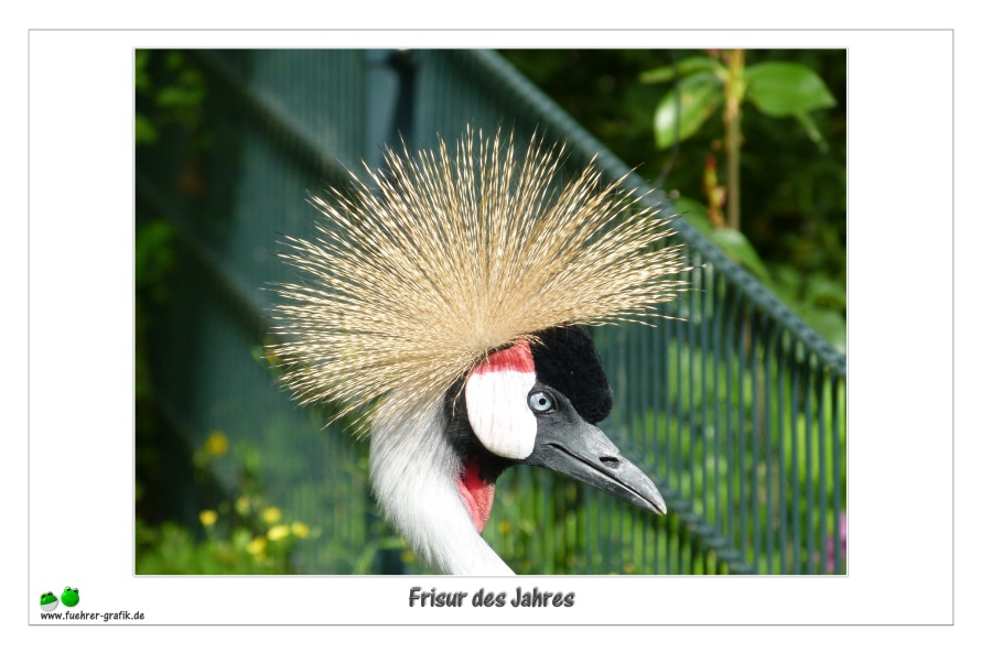 Frisur des Jahres