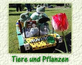 Ein lohnendes Motiv f&uuml;r Fridolin