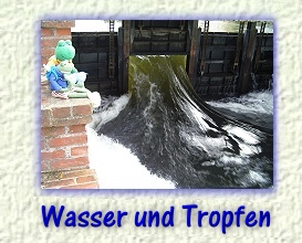 Zur Bildauswahl